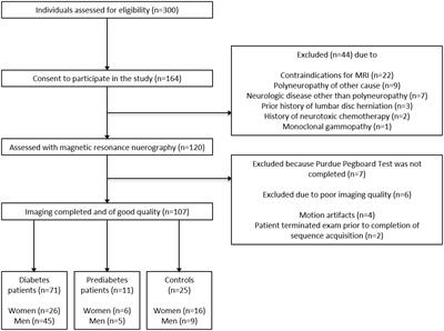 Diffusion Tensor Imaging of the Sciatic Nerve as a Surrogate Marker for Nerve Functionality of the Upper and Lower Limb in Patients With Diabetes and Prediabetes